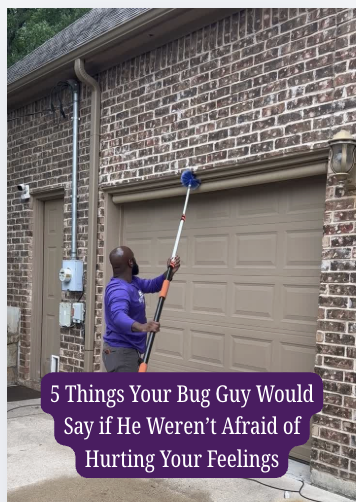 What your pest guy would tell you if he weren’t afraid of hurting your feelings…