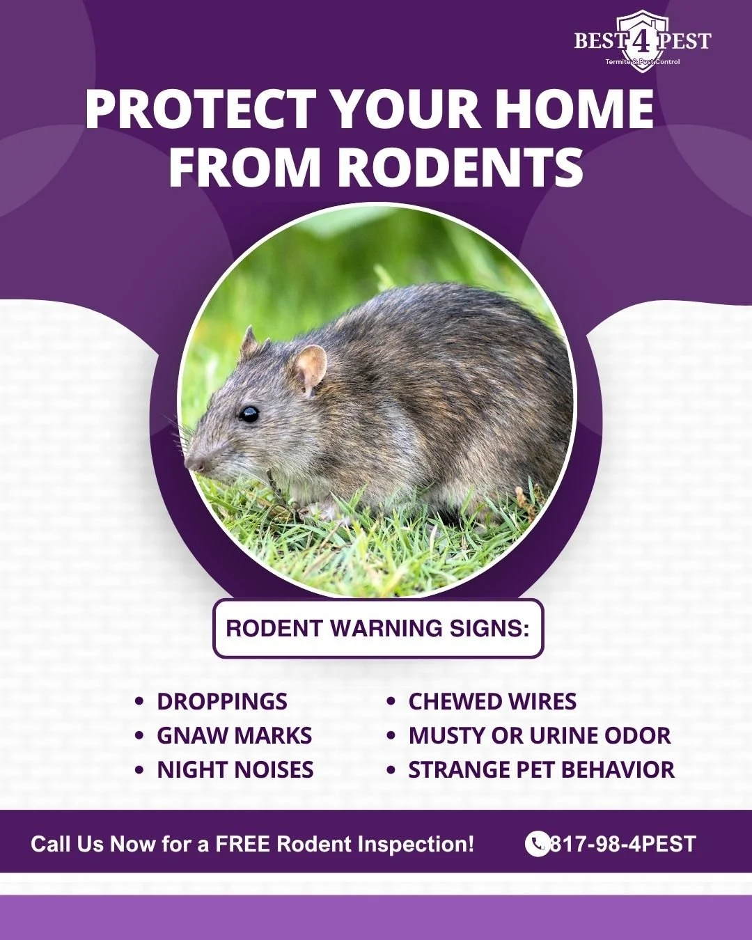 As the weather cools down, some pests will begin to head indoors as well! We can identify any weak spots in your home that will make things easier for rodents and worse for you. Our technicians will close up any points of entry and leave your home se