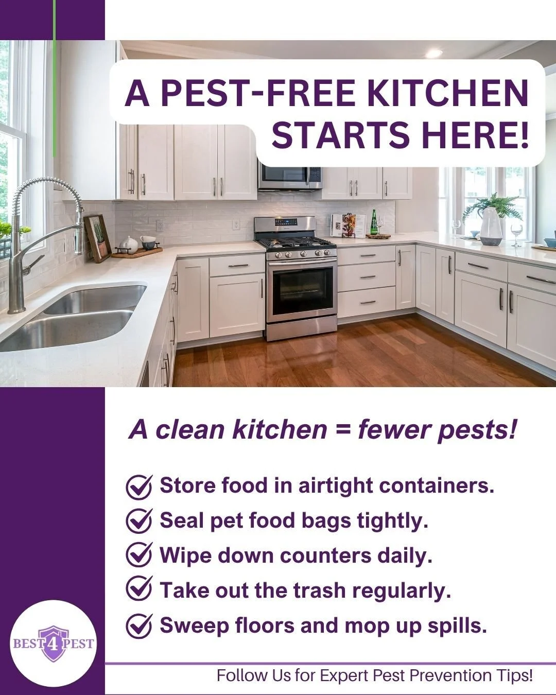 A simple nightly tidy of your kitchen could be the difference between having pests and not having pests. To ensure that your kitchen remains pest free, aim to keep floors and counters free of food, crumbs and anything that might attract unwanted pest