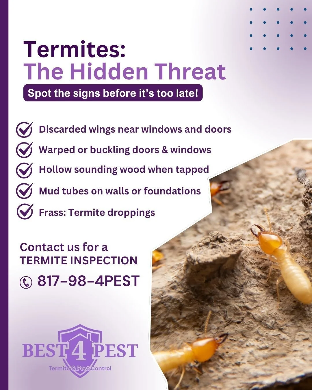 Termites live for destruction and sometimes they can do a lot of damage before you even realize they are in your home. Knowing the signs of a termite infestation is the first line of defense and the second is to immediately give us a call. Our expert