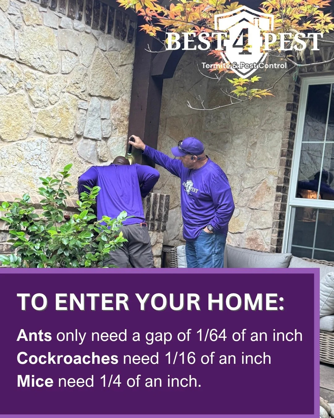 Keeping your home sealed and free some tiny intruders may be harder than it seems. Our team specializes in exclusions, which will seal up though tiny entry points and leave you with peace of mind and a comfortable home! 
Call today!