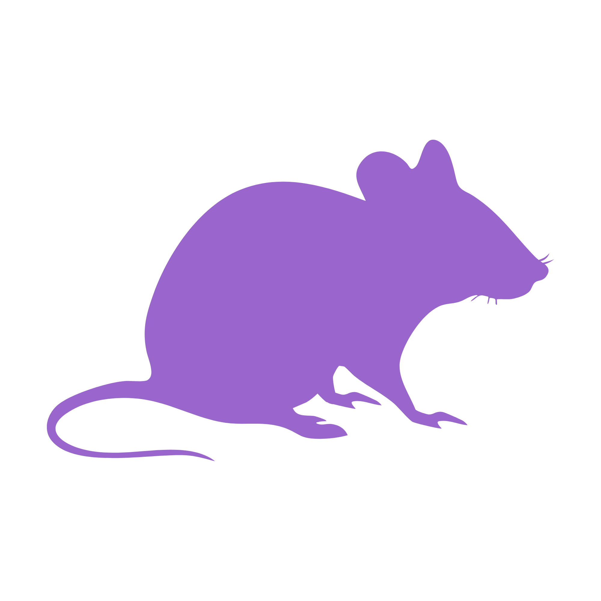 Silhouette of a purple mouse on a black background.
