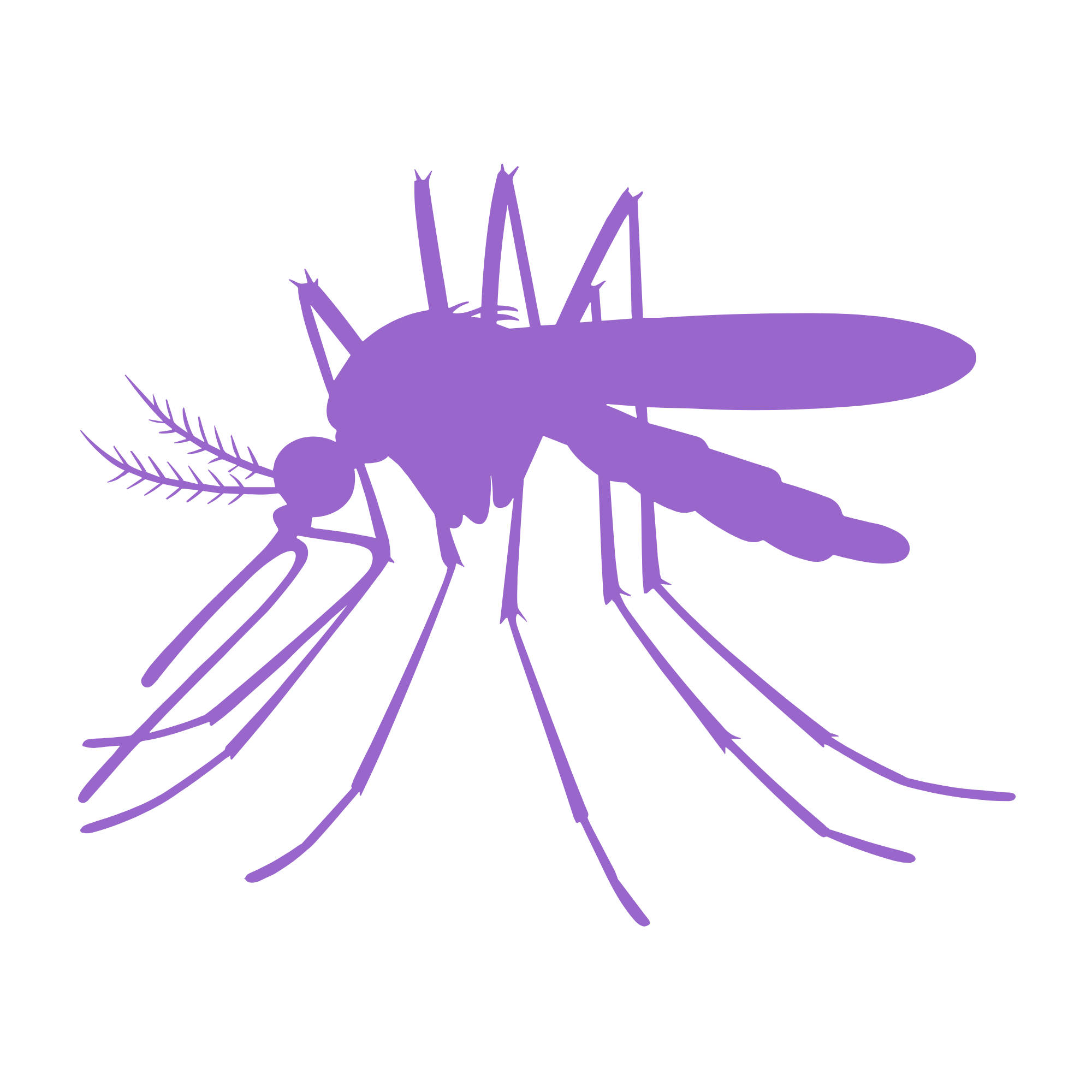 A purple silhouette of a mosquito with detailed legs, antennae, and wings on a black background.