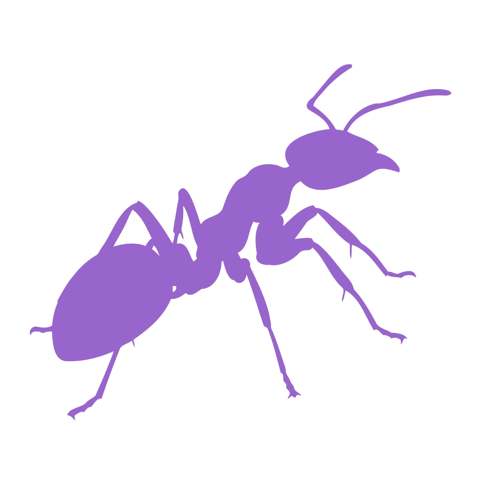 Silhouette of a purple ant on a black background.