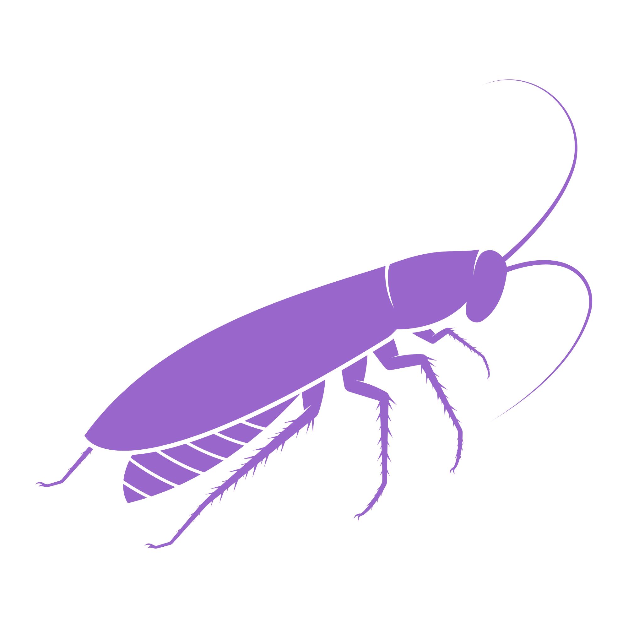 A purple illustration of a cockroach on a black background.
