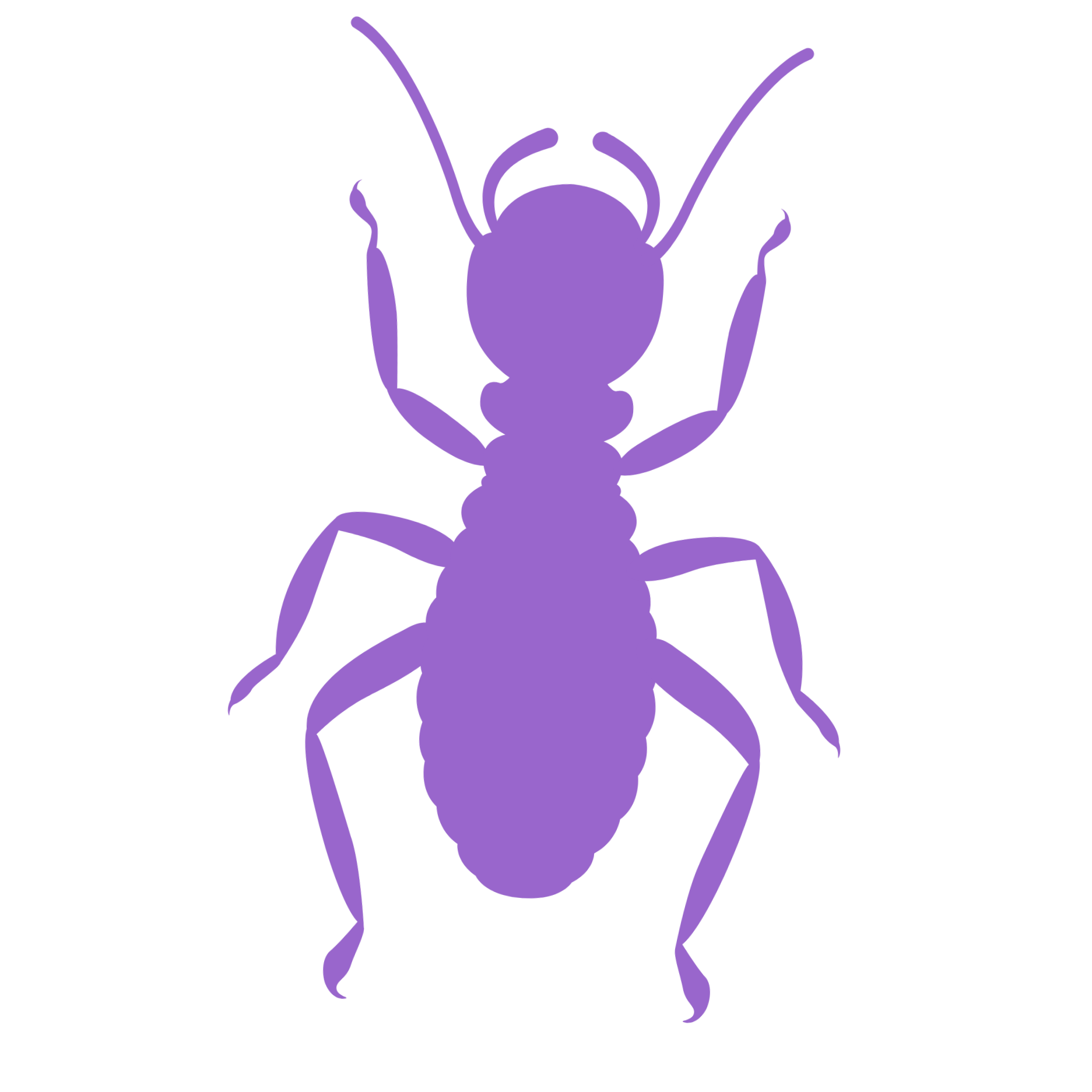 A purple silhouette of an arachnid, possibly a mite or tick, on a black background.