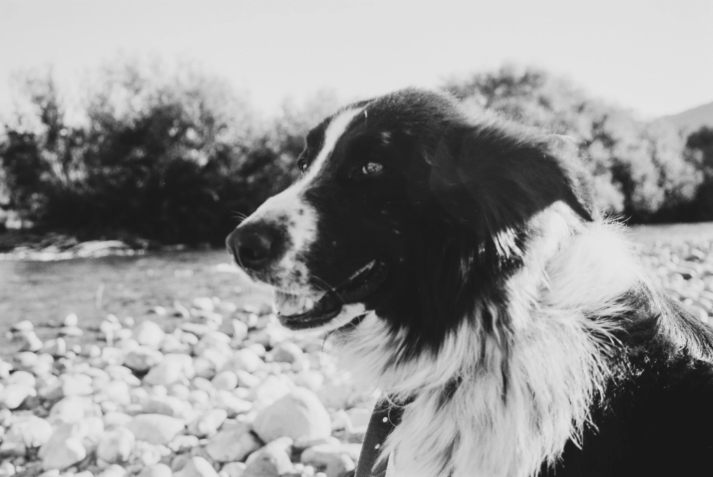 A006290-R1-25-26 (1).jpg