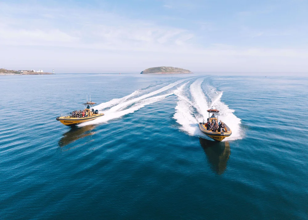 Anglesey Boat Trips | Explore Anglesey's Beauty — Book Your Trip Now
