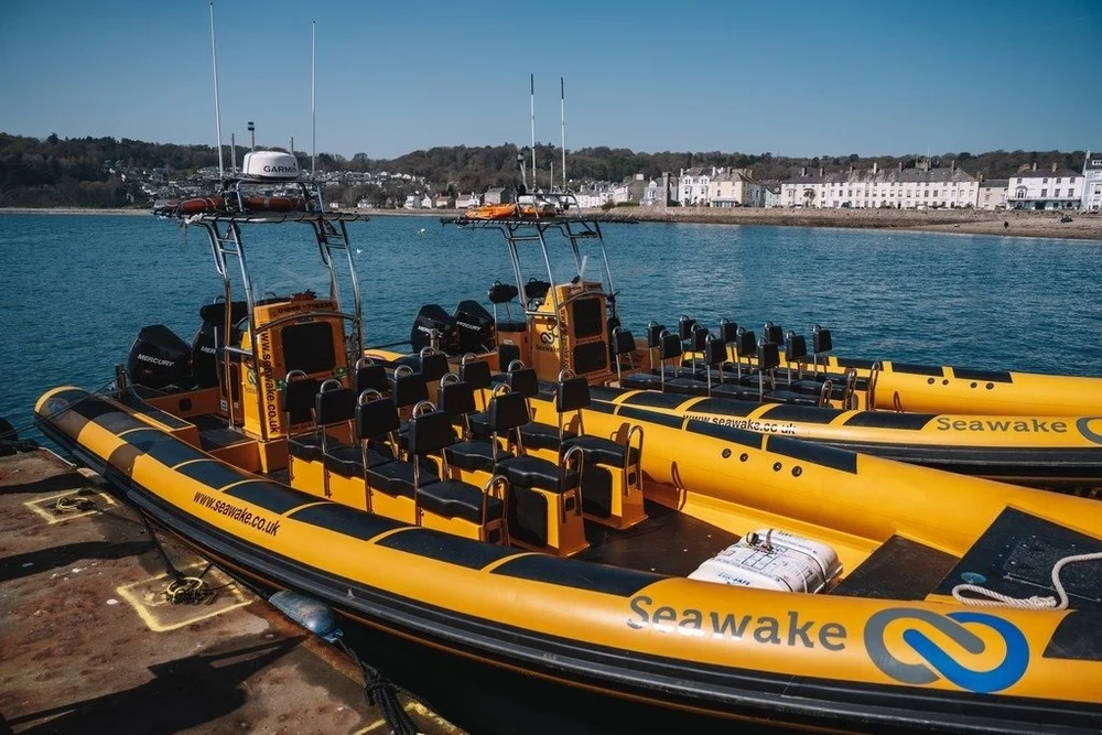 Anglesey Boat Trips | Explore Anglesey's Beauty — Book Your Trip Now