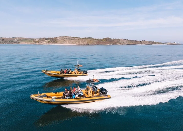 Anglesey Boat Trips | Explore Anglesey's Beauty — Book Your Trip Now