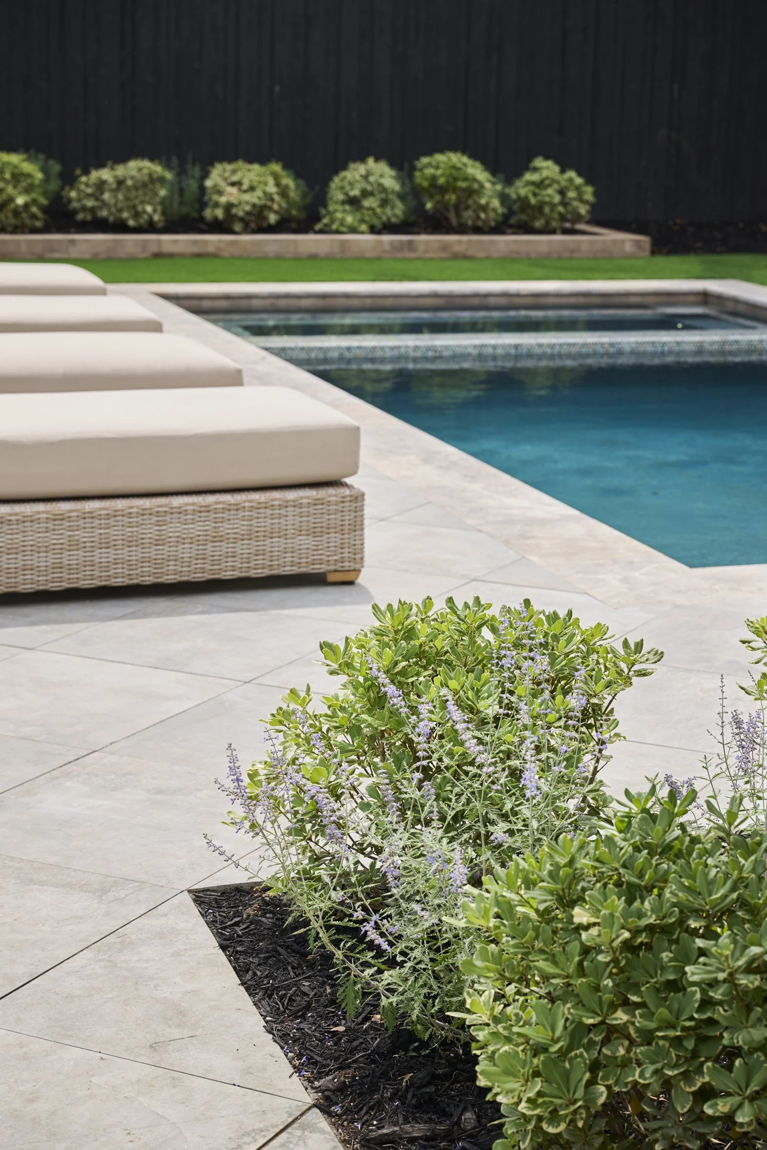 Backyard hardscape and landscape renovation complete with Porcelain Pavers, Belgard retaining walls, and evergreen planting design in North Dallas  | Designed by Caroline Higgins Design in Dallas, TX