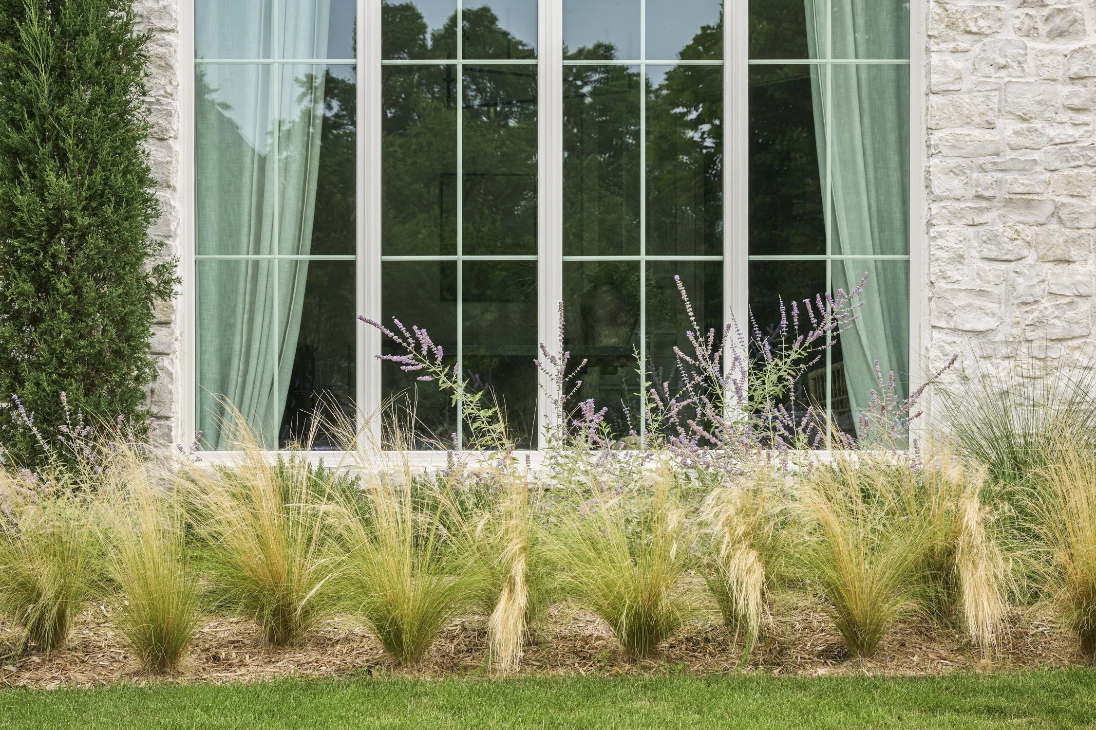 California-inspired front yard landscape with layered Ornamental Grasses in Dallas, TX | Designed by Caroline Higgins Design
