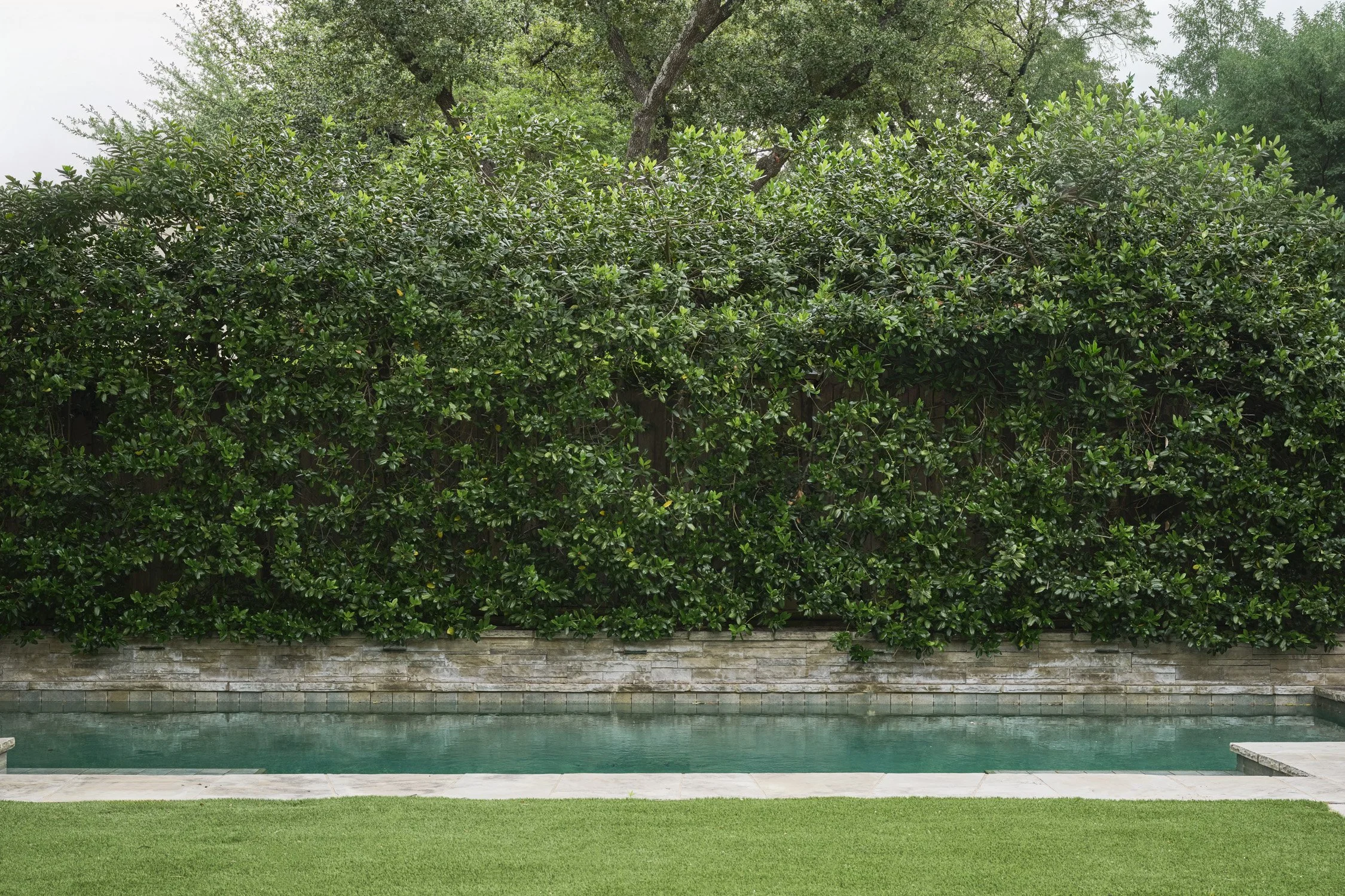Fairfax Avenue Highland Park Dallas
Designed by Caroline Higgins of Caroline Higgins Design
Install by Victory Landscapes
Photography by Kate Iwanski of K8 Creative