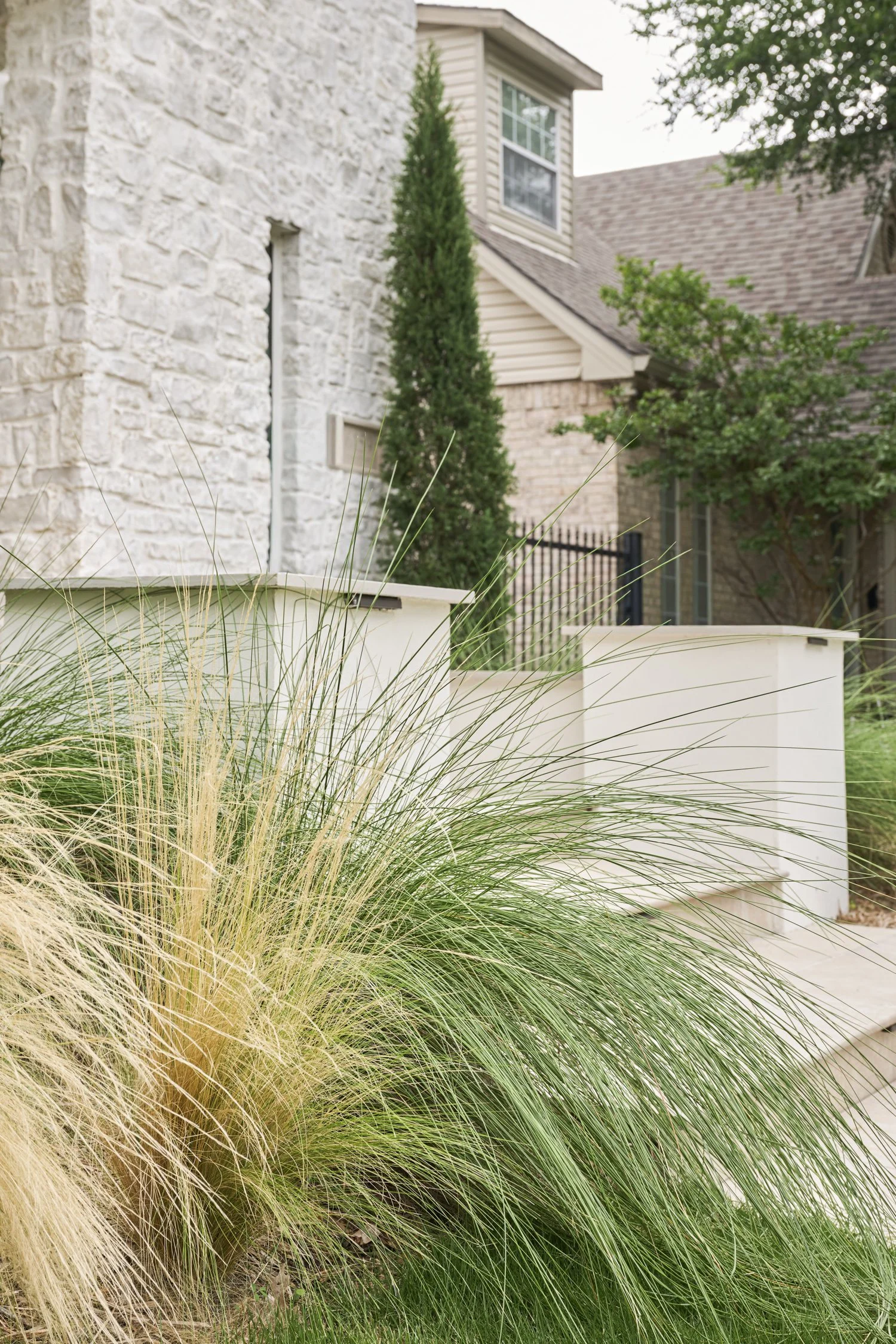 California-inspired front yard landscape with layered Ornamental Grasses in Dallas, TX | Designed by Caroline Higgins Design