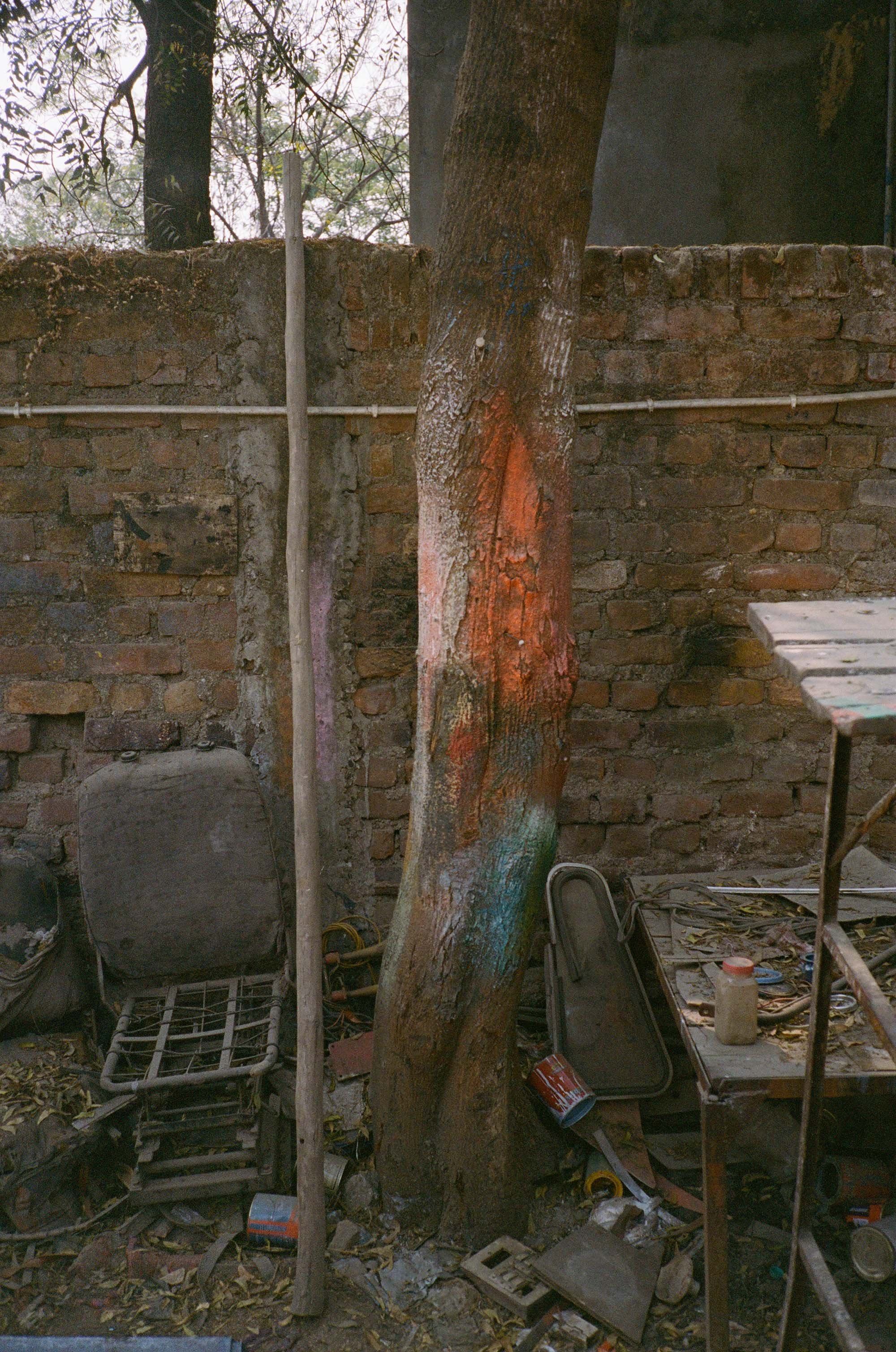 A tree growing against a brick wall, with two different colored stains on its trunk, surrounded by various discarded objects and debris.