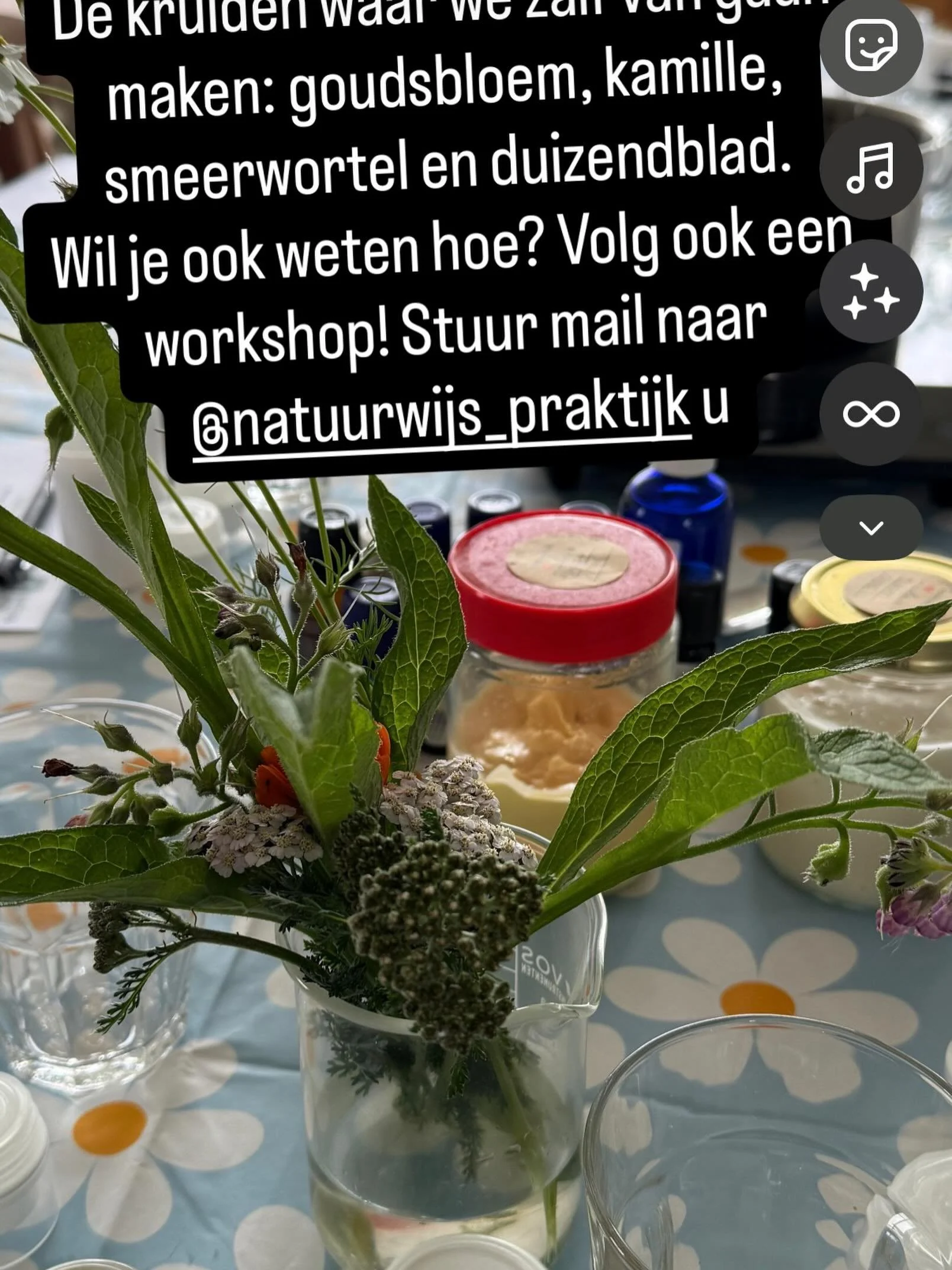 Ik heb er reuze zin in. Vanavond geef ik een workshop natuurlijk cr&egrave;me en zalf maken. Voor meer info zie ook mijn website https://www.natuurwijspraktijk.nl/kruidenwijsheid