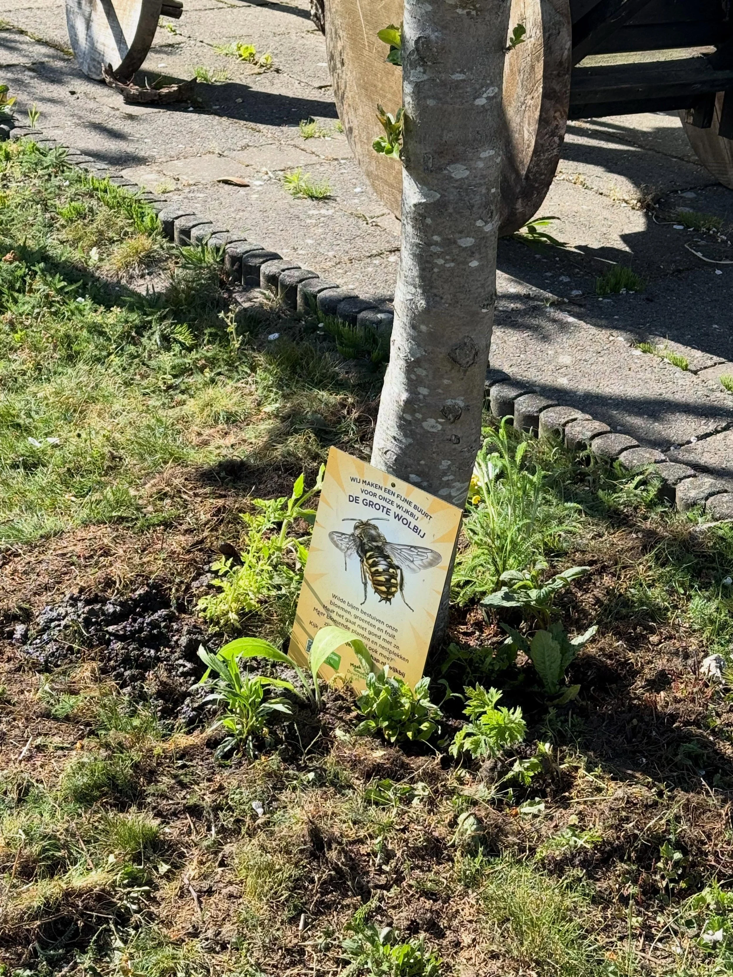 Kom je ook langs?  Op 23 mei organiseert Buurtgroen Gouda een fietstocht langs een aantal van de 23 buurttuinen die deelnemen aan het Wijkbijenproject 2026. mailto:buurtgroen@goudabruist.nl De wijkbijen-fietstocht leidt langs buurttuinen die een stuk