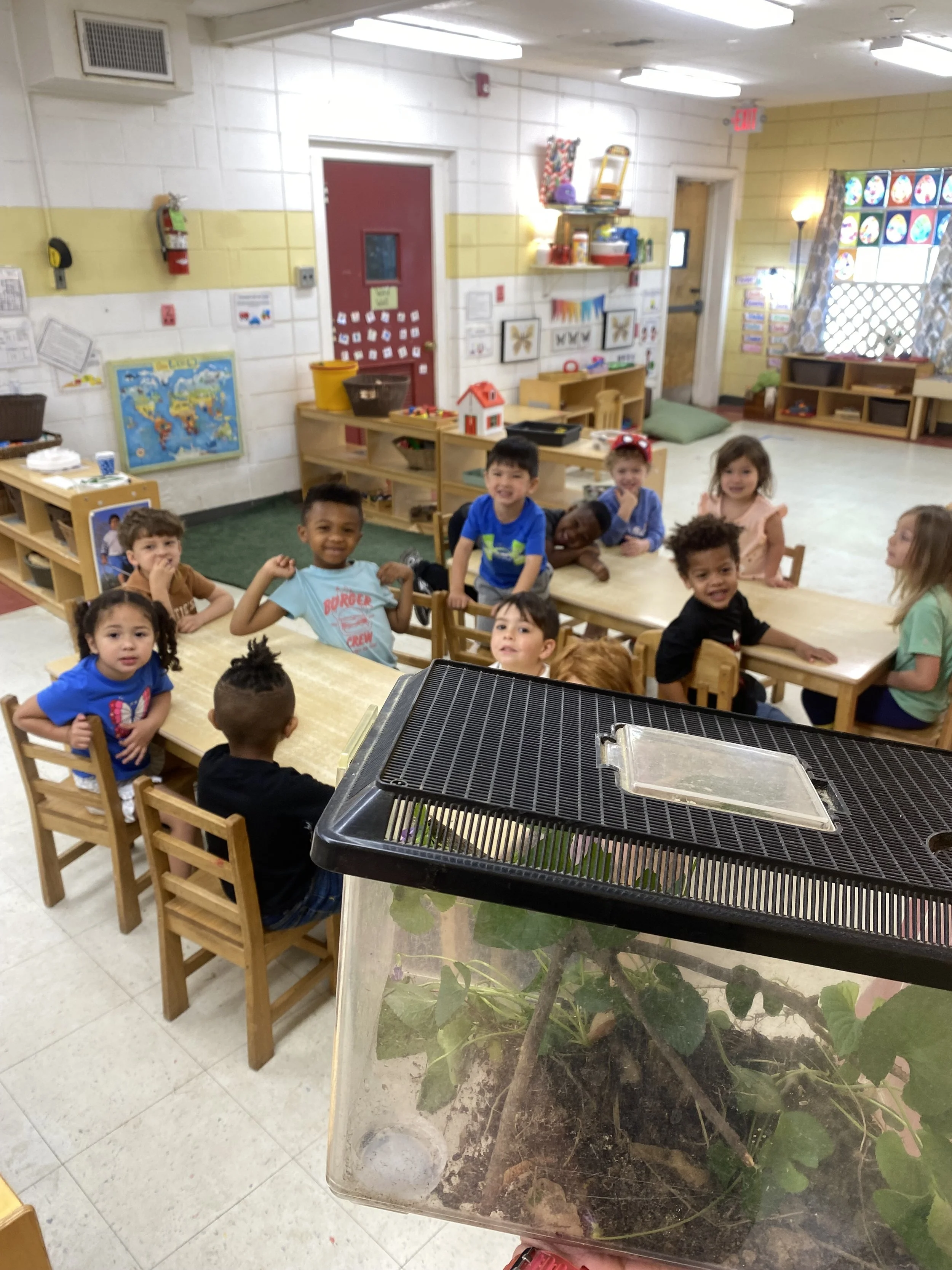 A classroom with children sitting at tables, some smiling and looking at the camera. In the foreground, there is a fish tank with plants and soil inside, partially blocking the view of the children.