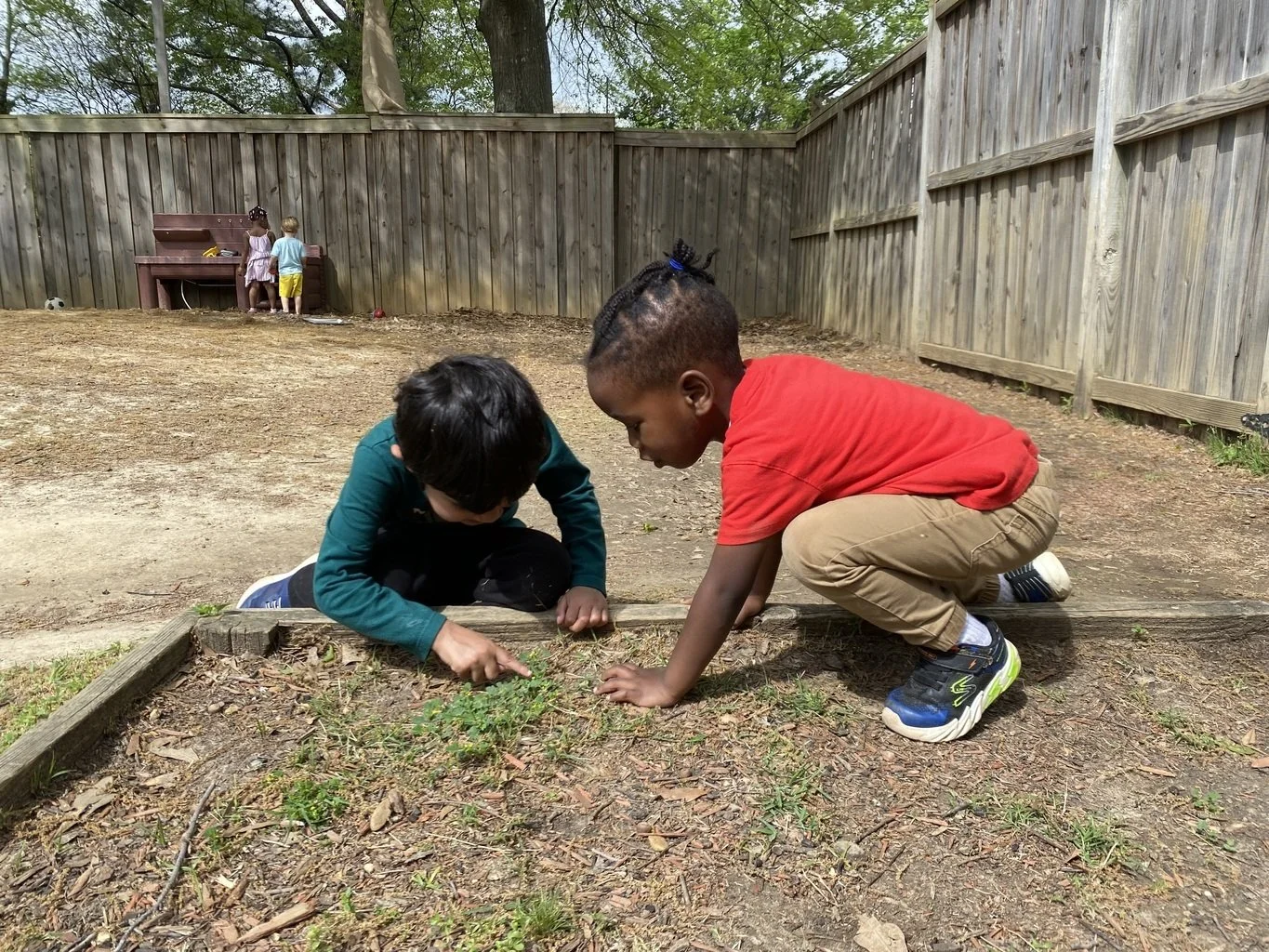 Two children crouching on the ground, examining plants in a garden bed in a backyard with a wooden fence.