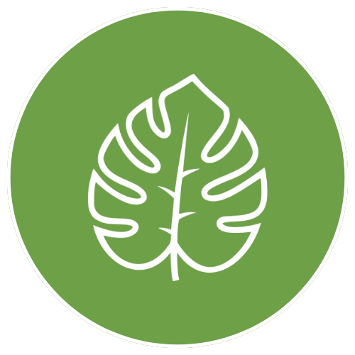White outline of a Monstera leaf on a green circular background.