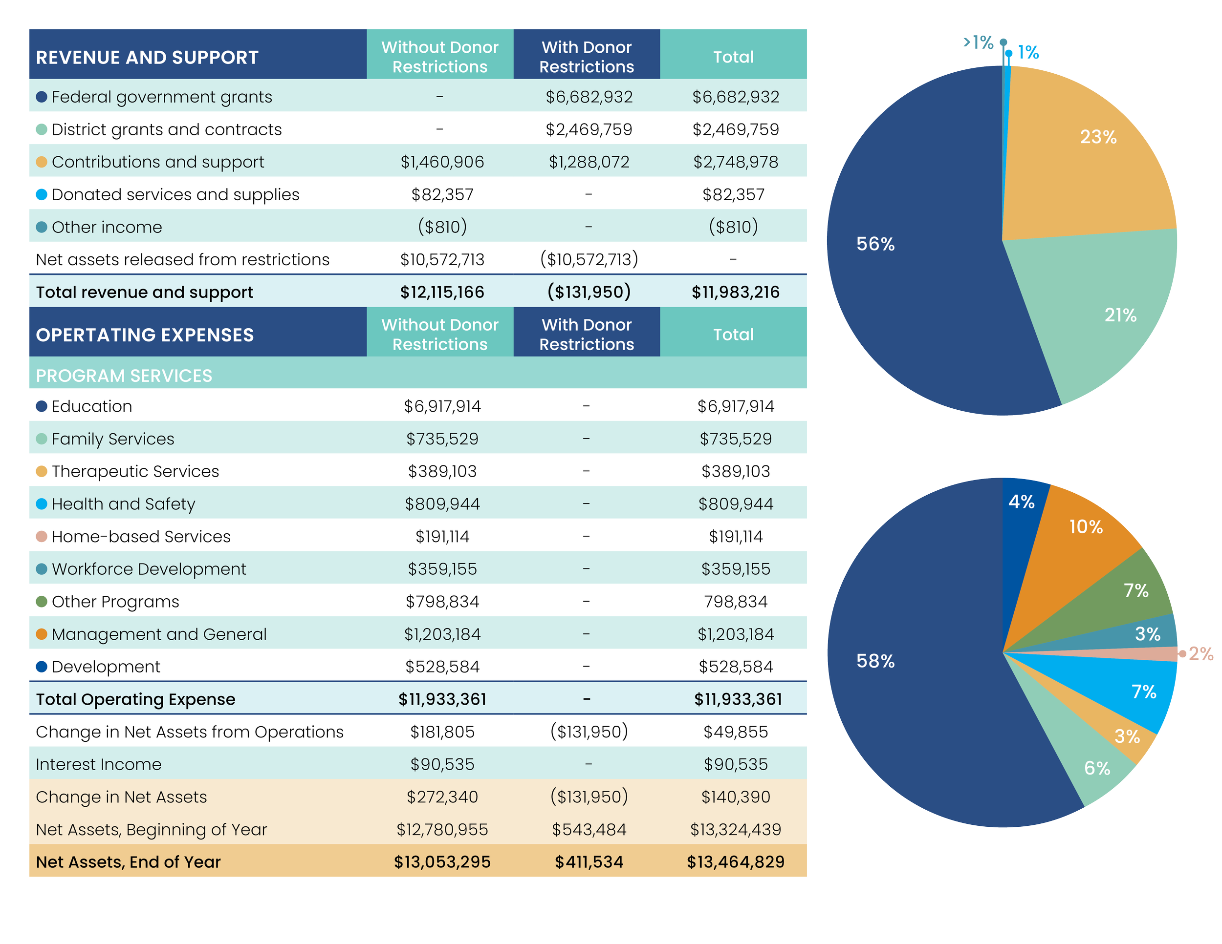 Financial report showing revenue, expenses, and net assets with pie charts, including categories like federal grants, donations, program services, and operating expenses.