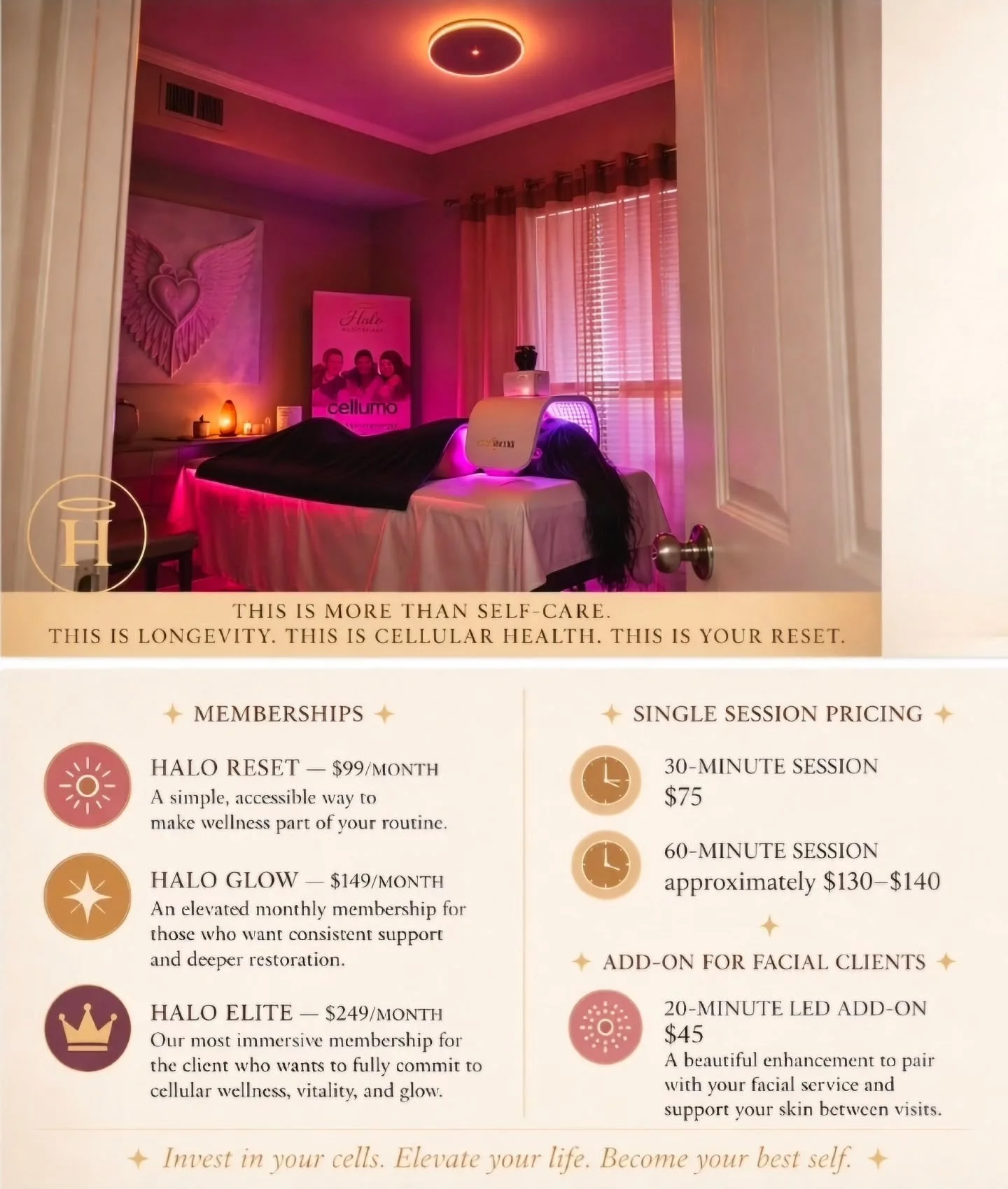 Step into Halo Sanctuary ✨

A sacred space for wellness, vitality, and cellular renewal.

Float into the glow of Celluma LED Light Therapy, where red and infrared wavelengths support the skin from within.
Restore your energy with PEMF Therapy, design