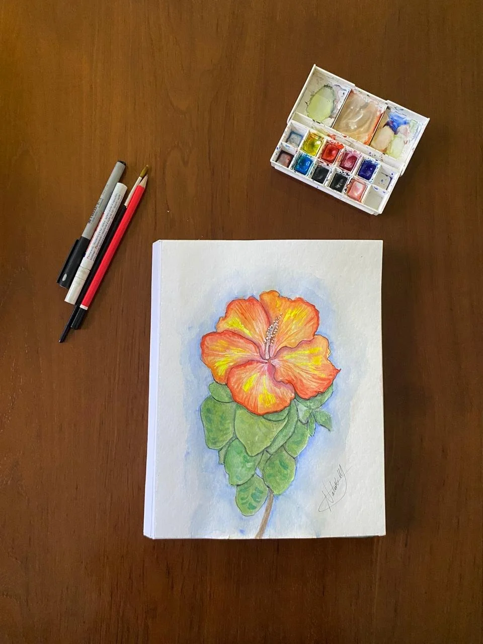 Hibiscus Watercolor