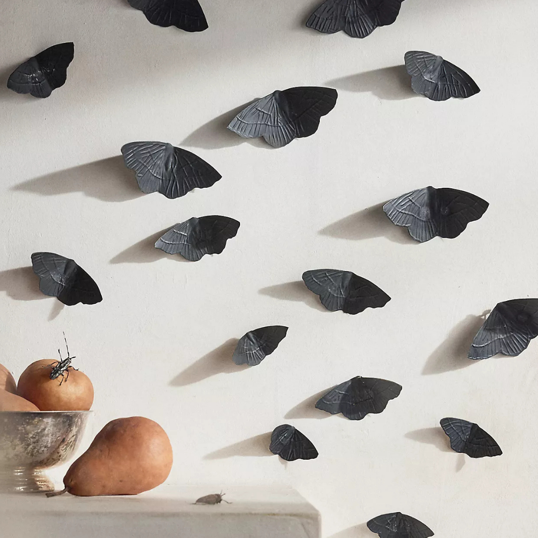 MOTHDECOR.png