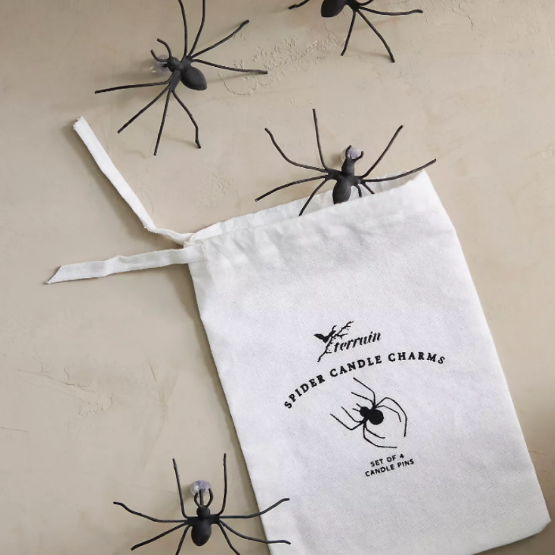 CandleSpiderDecor.png