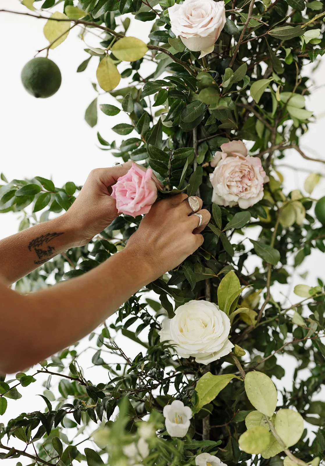 Thoughtfully designed florals for intimate gatherings, holiday tables, dinner parties, and celebrations in Jacksonville, St. Augustine, and Northeast Florida.