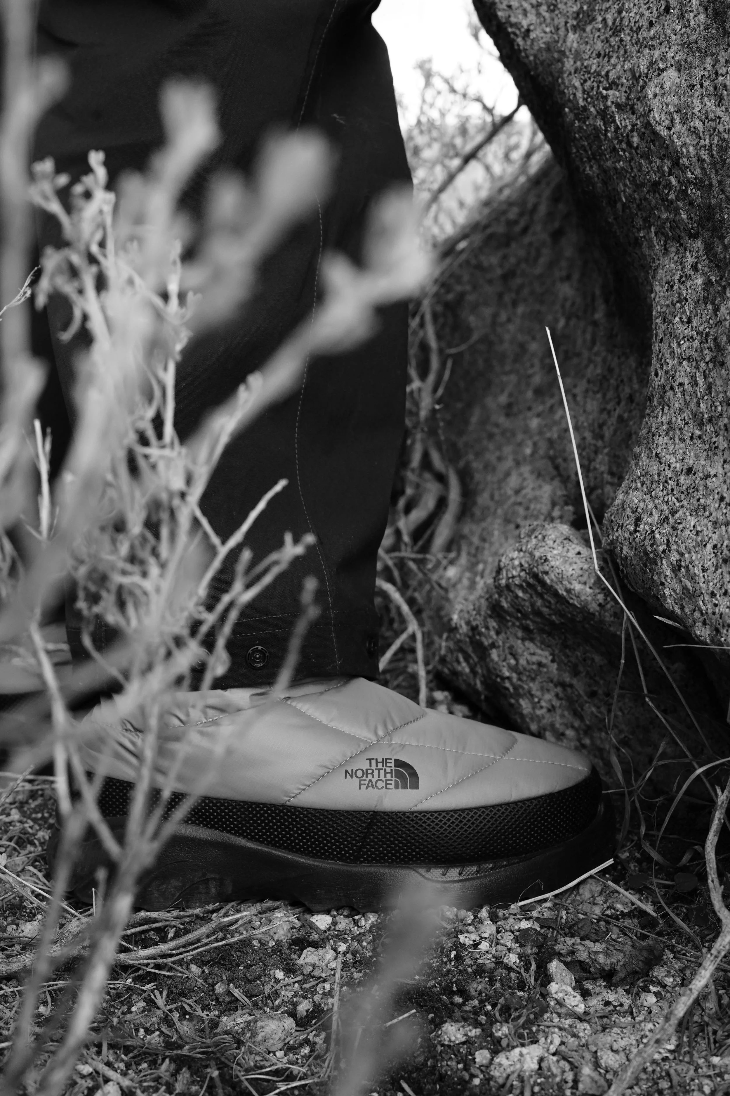 Photo 2025-11-12, 4 11 10 PM.jpg