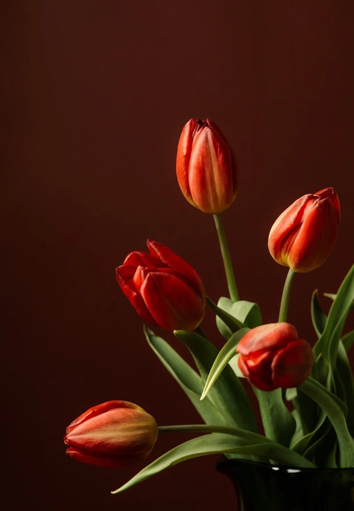 A bouquet of red and orange tulips in a black vase against a dark brown background.