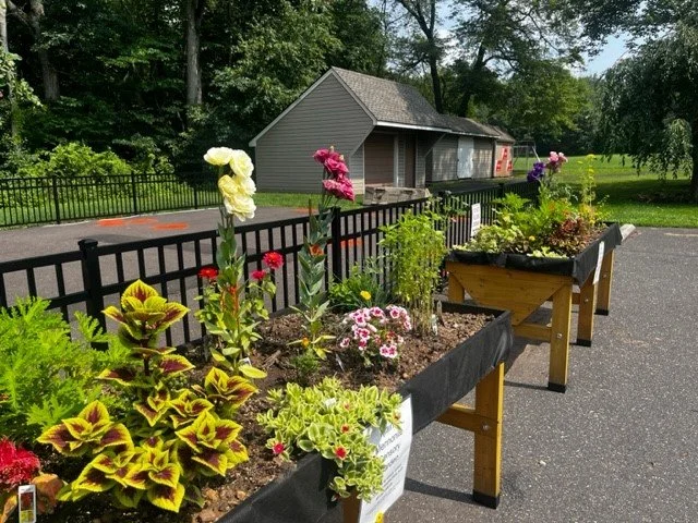 garden.jpg