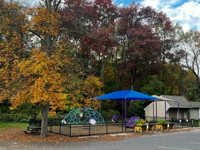 fall playground.jpg