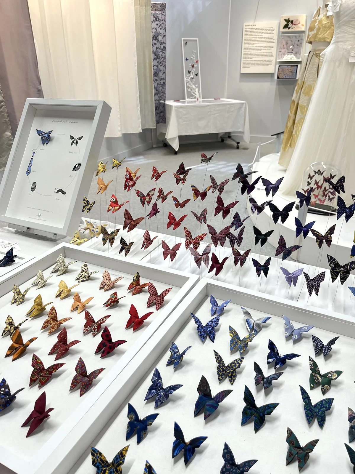 Exposition d'autocollants en forme de papillons fabriqués à partir de papier décoratif coloré, affichés dans une vitrine et sur des panneaux, avec des instructions et autres displays dans une pièce d'exposition.