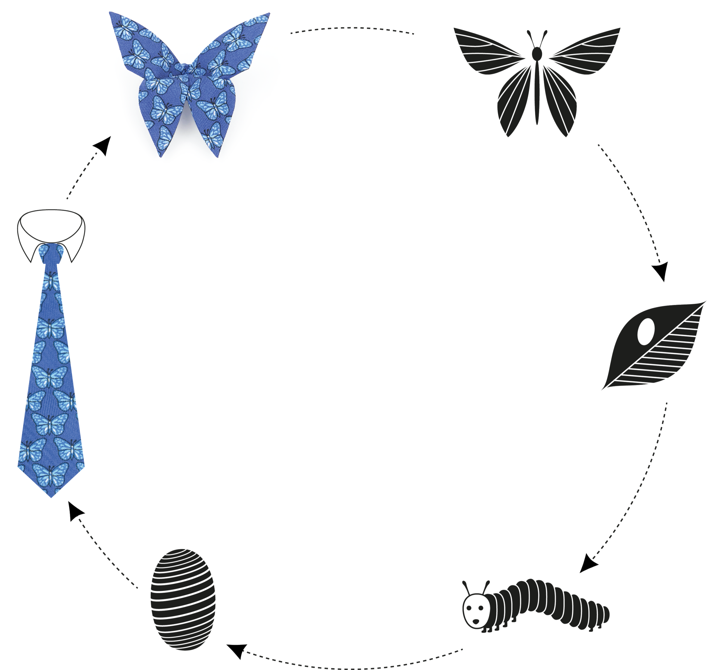 L'histoire du Buttertie est le cycle de la soie. Il commence avec un papillon, et quand la cravate est vieille elle devient enfin un papillon (en soie)