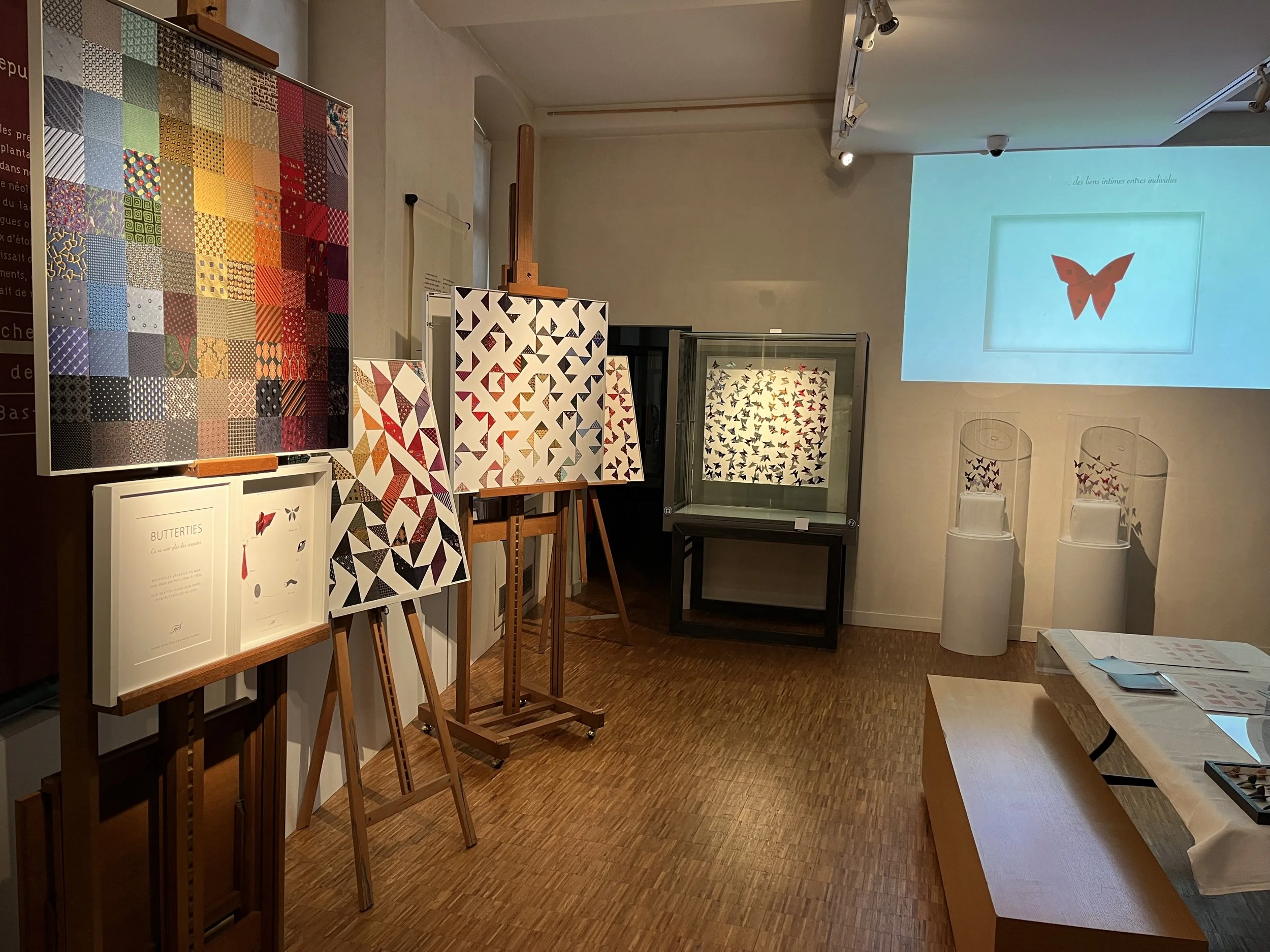 Exposition d'art avec plusieurs panneaux de motifs géométriques colorés, une projection d'une image d'une papillon rouge sur un mur, et des vitrines avec des objets encadrés et balançoires en verre en arrière-plan.
