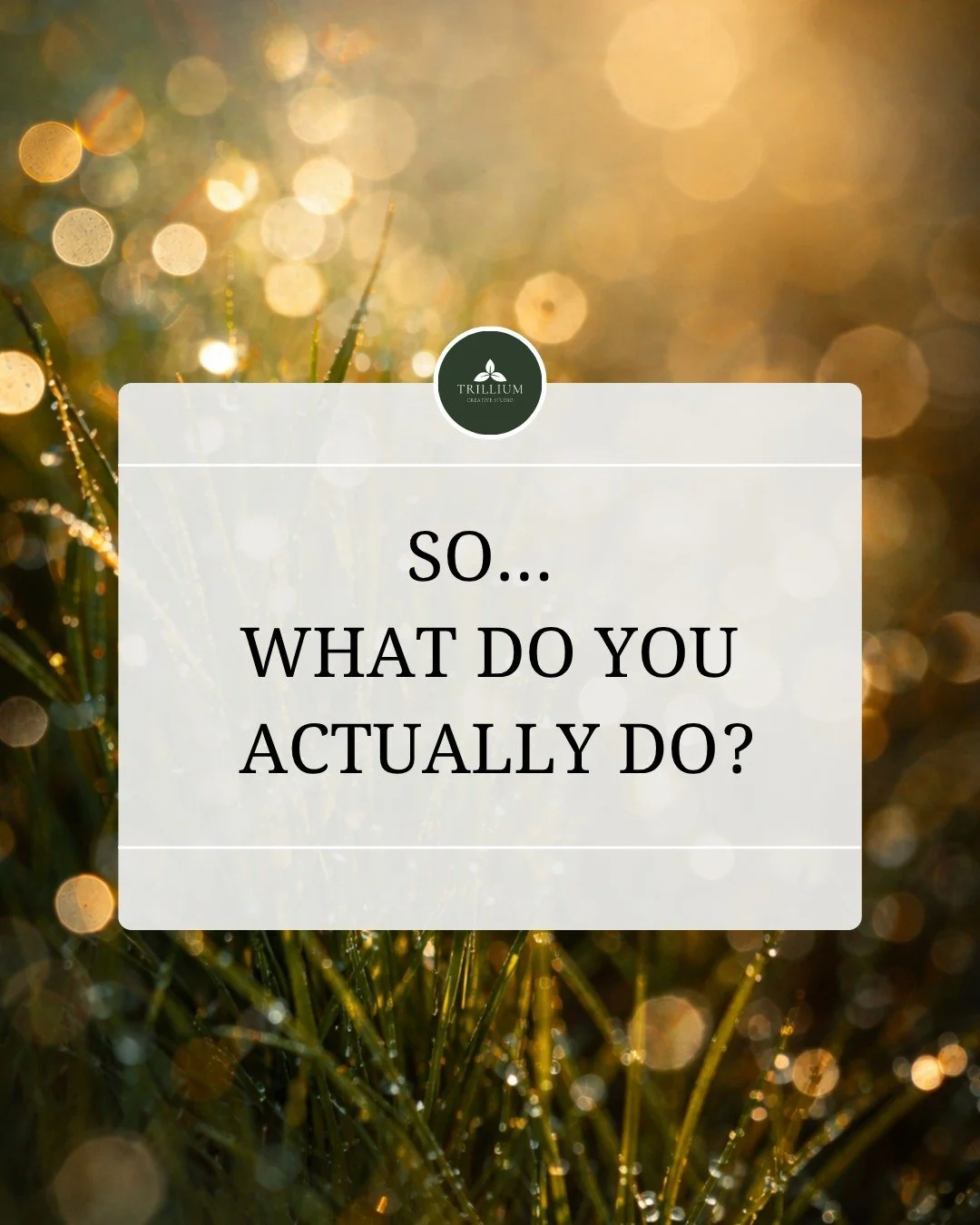 &ldquo;But what do you actually do?&rdquo; Fair question. The short answer is brand strategy, identity and creative direction.

The more accurate answer is that I usually come in when a business has something good, but something about the way it look