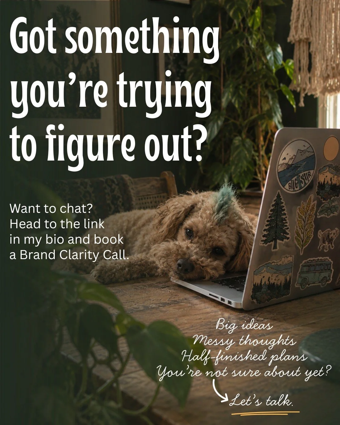 Got something you&rsquo;re working on and not entirely sure what the hell you need?

Maybe your brand feels off. Maybe you&rsquo;re launching something new. Maybe your website isn&rsquo;t keeping up anymore. Maybe marketing has turned into 47 half-fi