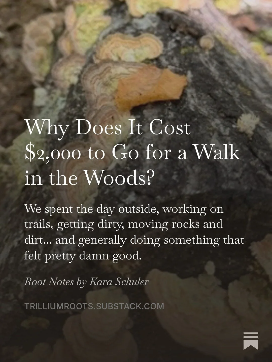 Apparently getting into hiking does not mean you just&hellip; go hiking.

It means you need boots. Special socks. Hiking pants. Trekking poles. A backpack. A rain jacket. Another jacket. Probably something from Patagonia. And eventually you find your