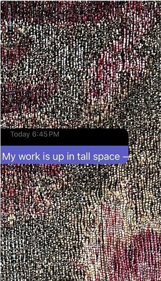 Screenshot 2026-03-12 at 12.06.23 PM 1.jpg