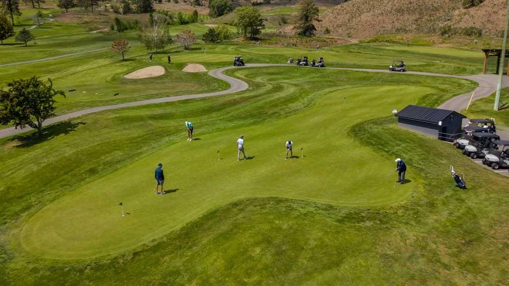Five people are playing golf on a lush green golf course, with some golfers putting near a small pond and others preparing to hit the ball. In the background, there are golf carts and trees.