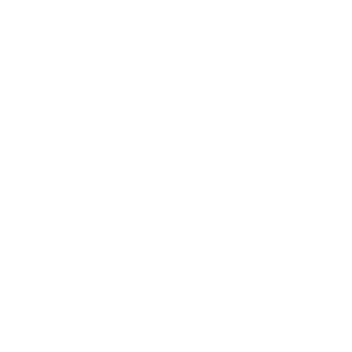 Logo for Fore Chicks with white text on a black background