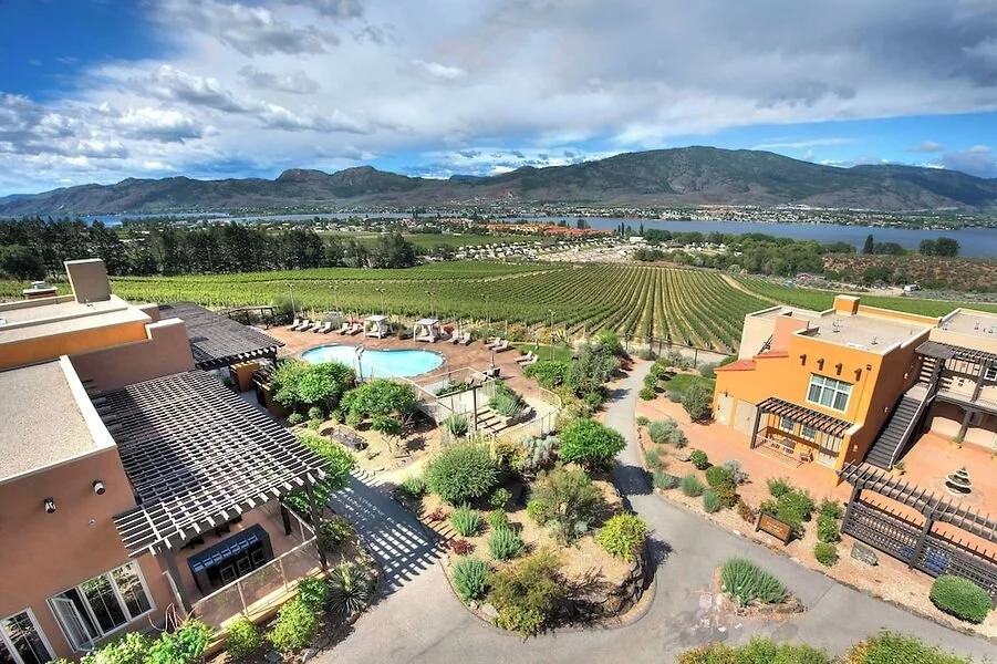 View of vineyards, houses with terracotta roofs, a swimming pool, and a lake with mountains in the background under a partly cloudy sky.