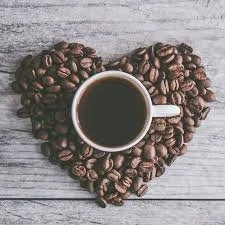 Lavanda Café Proposal