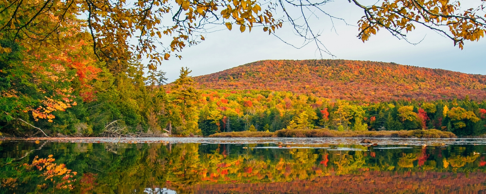 A scenic view of a forested mountain with vibrant autumn foliage reflected in a calm lake, framed by overhanging tree branches.