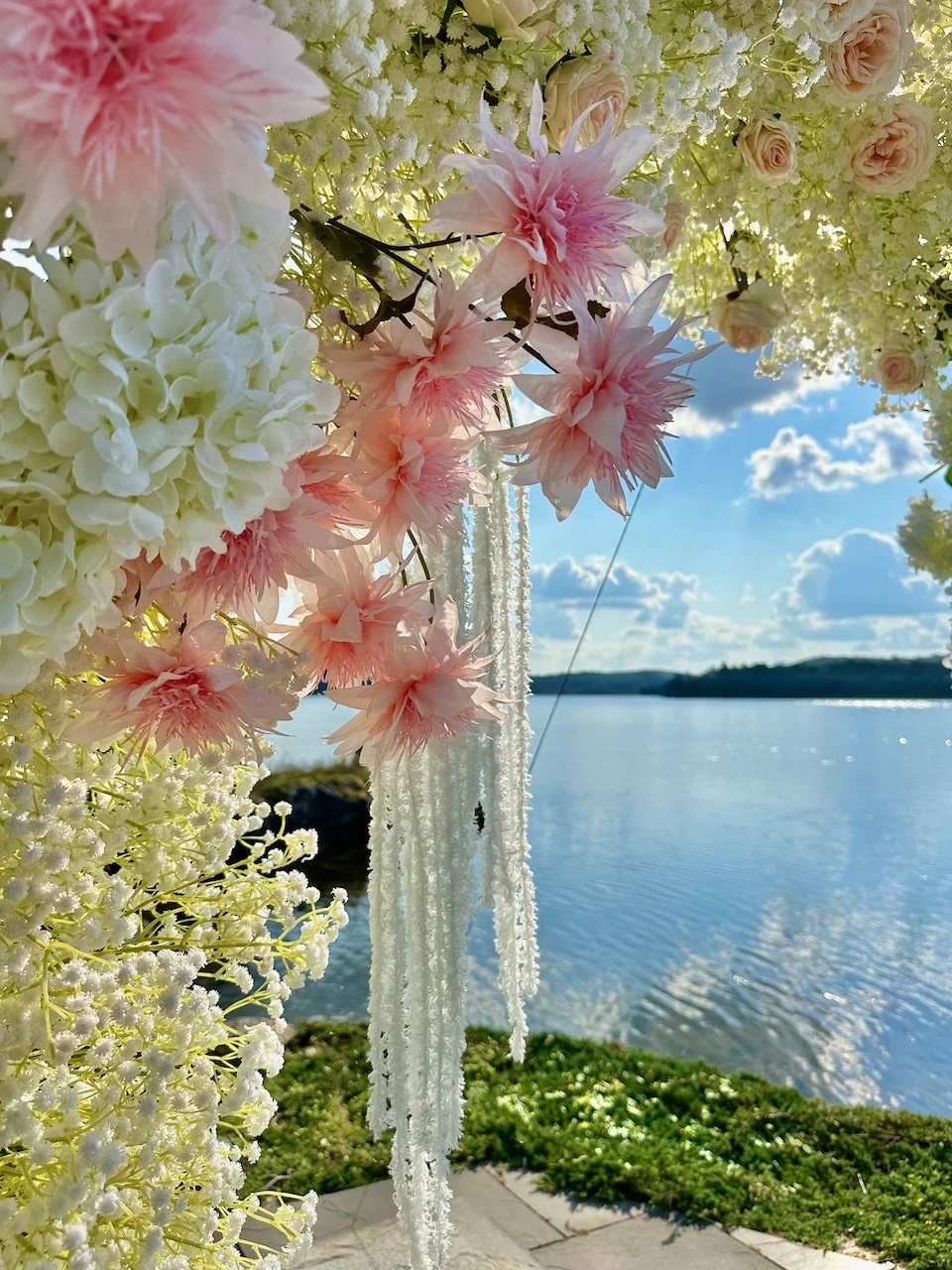 Close-up of pink and white flowers with a lake and blue sky in the background.