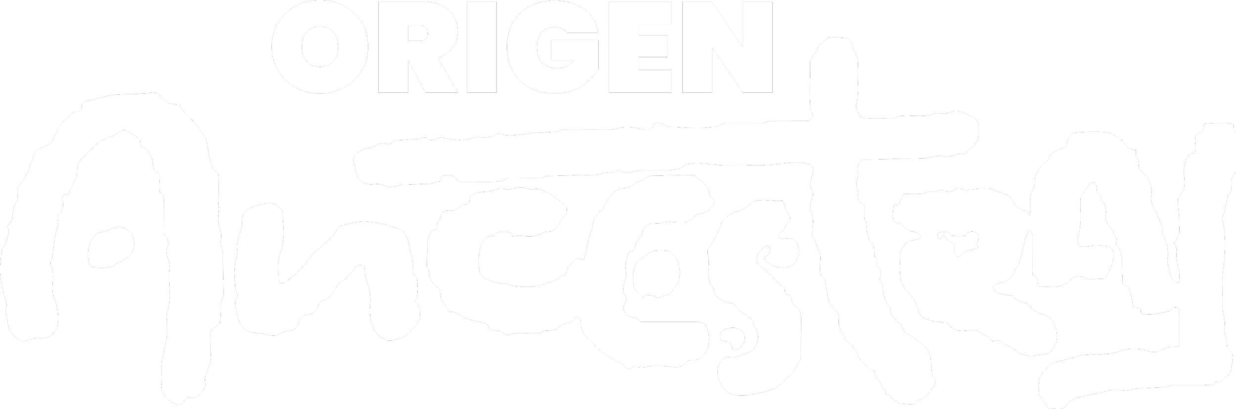 Slogan Origen Ancestral en la sección informativa sobre la identidad del festival