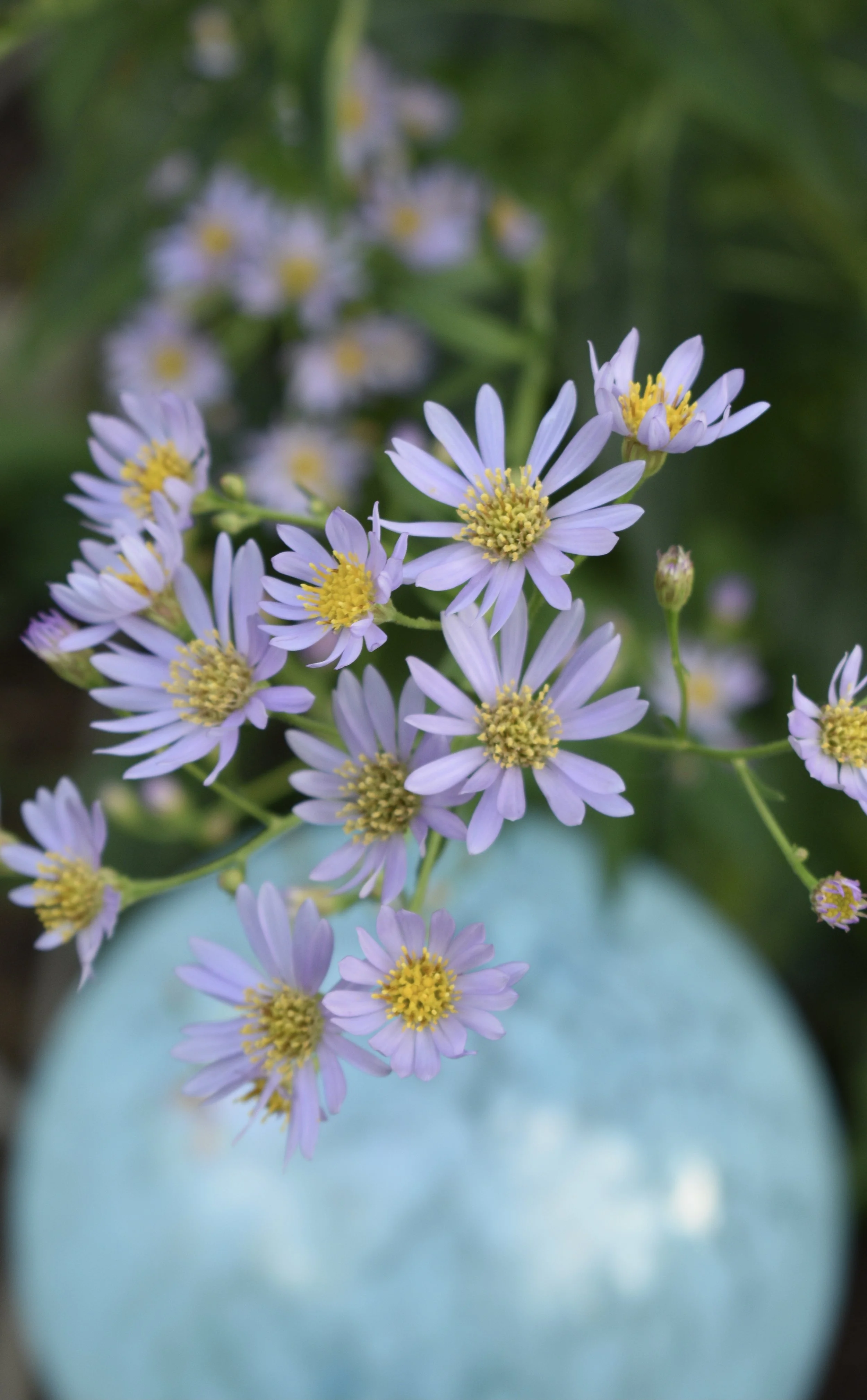 DSC_0556.JPEG