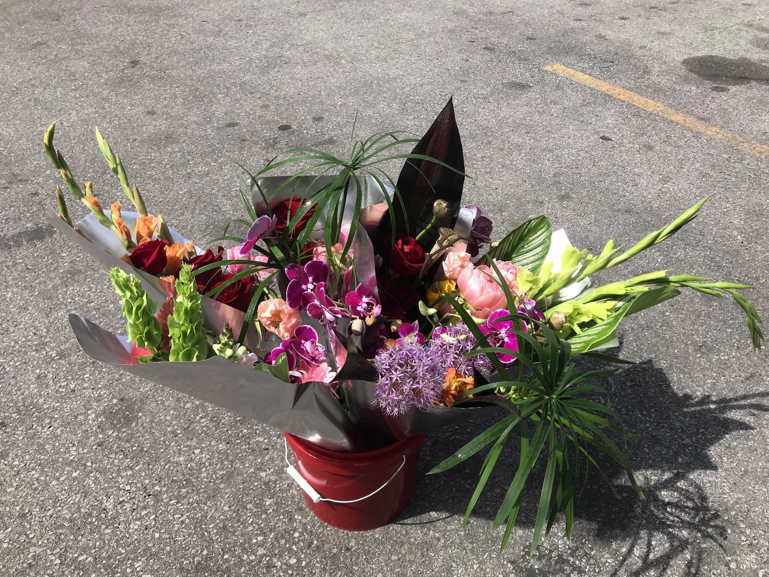 IMG_4268.jpg